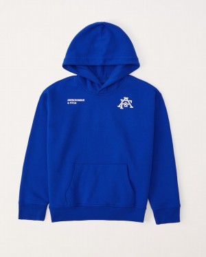 Sweat a Capuche Abercrombie Logo Popover Garcon Bleu | AHYVIG-251