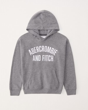 Sweat a Capuche Abercrombie Print Logo Popover Garcon Grise | DHULCV-065