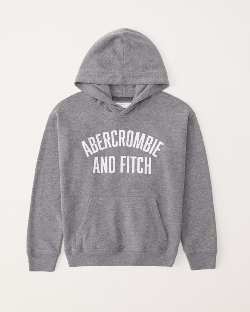 Sweat a Capuche Abercrombie Print Logo Popover Garcon  Grise | DHULCV-065