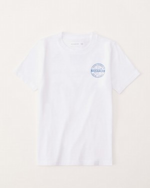 T Shirts Abercrombie Graphique Logo Garcon Blanche | UPQLDB-368