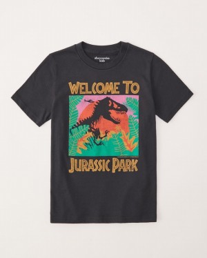 T Shirts Abercrombie Jurassic Park Graphic Garcon Grise Foncé | OLVEFY-817