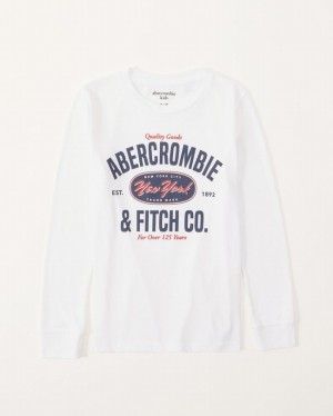 T Shirts Abercrombie Long-sleeve Graphic Logo Garcon Blanche | ABELRD-310