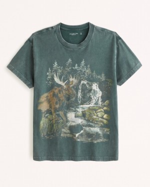 T Shirts Abercrombie Wildlife Graphic Homme Vert Lavage | KOYITZ-249