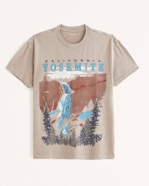 T Shirts Abercrombie Yosemite Graphic Homme Marron Clair | IRUOWZ-705
