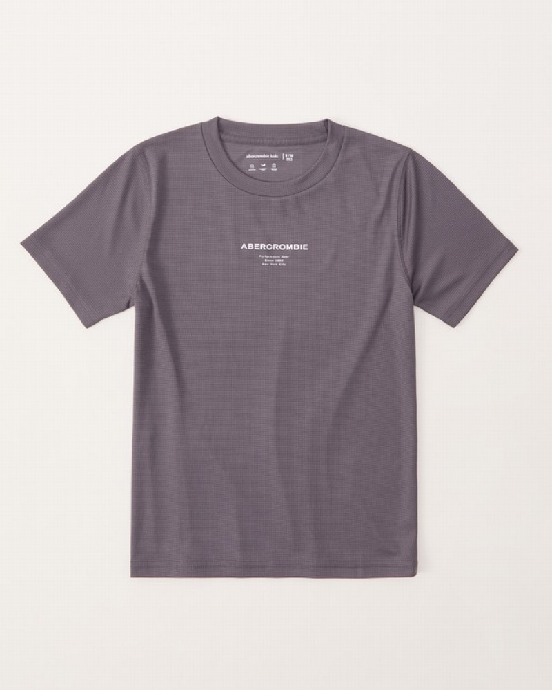 T Shirts Abercrombie Active Grid Logo Garcon  Grise Foncé | SKGMIH-019