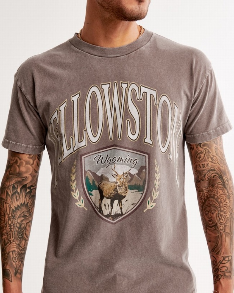 T Shirts Abercrombie Yellowstone Graphic Homme  Marron Clair | SWMACI-698