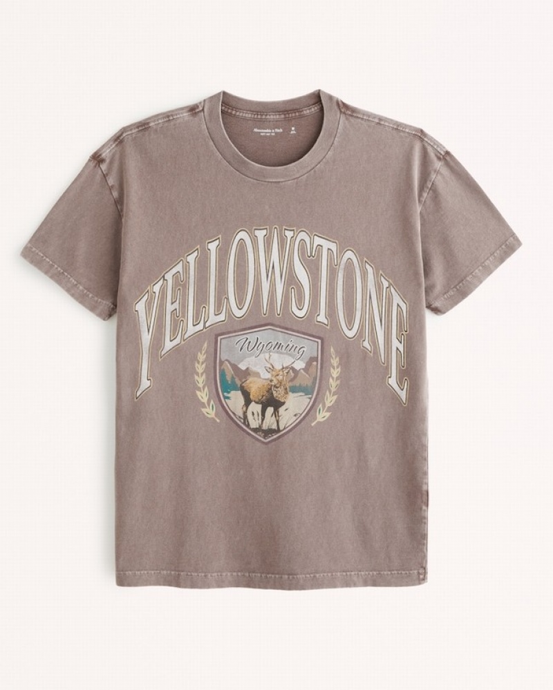 T Shirts Abercrombie Yellowstone Graphic Homme  Marron Clair | SWMACI-698